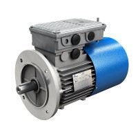 意大利進口供應(yīng)摩鐸利motovario雙極性三相制動電機