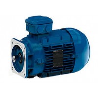 Watt Drive減速機160M/L-02F直供