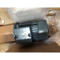 VEM 電機 原裝進口