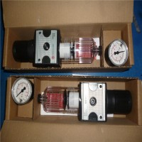 德國(guó)RIEGLER控制閥DS 6003產(chǎn)品介紹