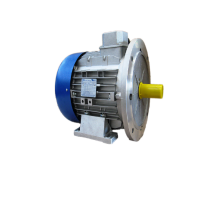 MTmotori MN系列單相電機(jī)