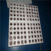 專業(yè)銷售Faulhaber微型電機(jī)系列2250...BX4S