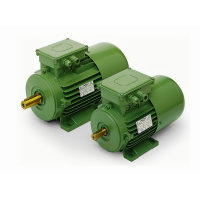 Oemer異步電機(jī)MTS 63