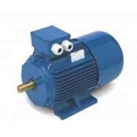 OEMER QLS 系列電機(jī)馬達(dá)供應(yīng)