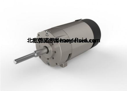 Parvalux 直流電機PM1