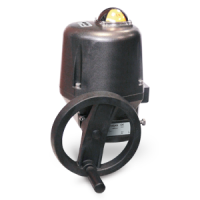 VALPES 電動(dòng)執(zhí)行器 LT45.90Bx.G00