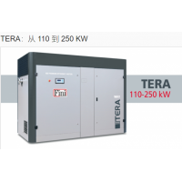 FINI微型 4.0 - 5.5壓縮機(jī)
