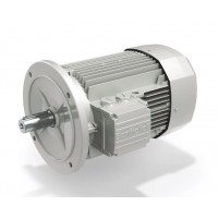 邦飛利意大利Bonfiglioli異步IE1三相電機BN 系列