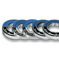 德國(guó)Nilos-Ring密封6206AV