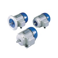 Carpanelli三相電機說明