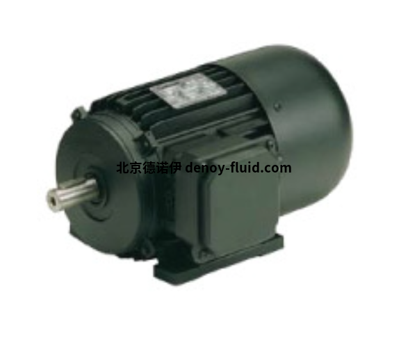 Carpanelli矢量電機(jī)MVC63a型