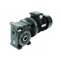 德國供應Radicon初級蝸輪減速機AJ系列