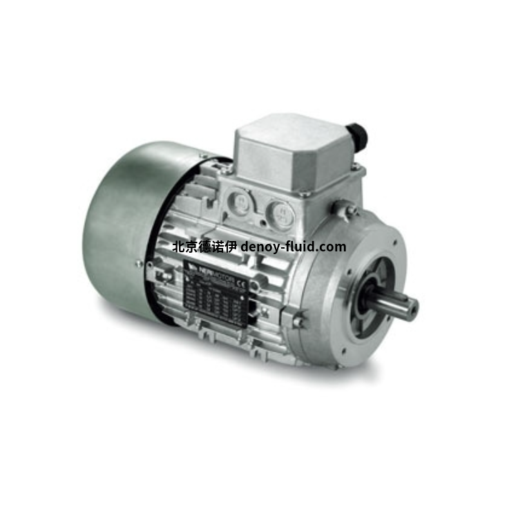 意大利nerimotori DP180M三相電機