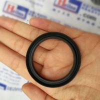 德國進(jìn)口Westring密封件VI0780-80