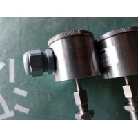 Dittmer氣體介質(zhì)用電阻溫度計PT 100用于溫度測量