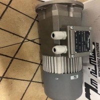 Minimotor減速電機(jī)MCE110PT