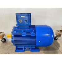 德國(guó)意大利進(jìn)口電機(jī)CEMP AC 75r 225 S 4