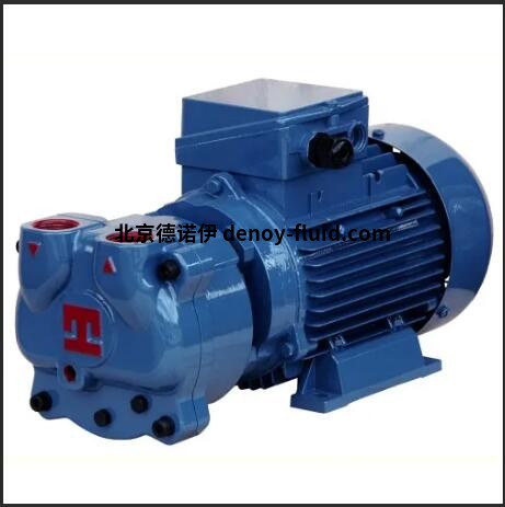 Pompetravaini液環(huán)真空泵TRS 40-100