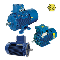 德國(guó)BEVI 3DX系列防爆電機(jī)