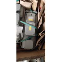 意大利OEMER交流三相高性能變頻電機QL 100 P用于鋼廠使用