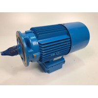 德國(guó)HIMMEL電動(dòng)單軌齒輪電機(jī)A90IBMD2