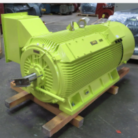 德國Menzel異步鼠籠電機(jī) 電壓從 380V到13800V