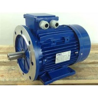 SMEM 132MA 6-8系列雙極性電機(jī)