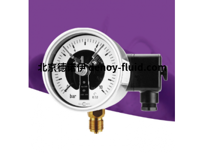 德國(guó)SUCHYSUCHY溫度計(jì)