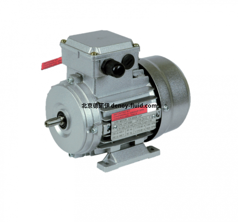 chiaravalli IE1鋁制電機CHT 160 LB 2