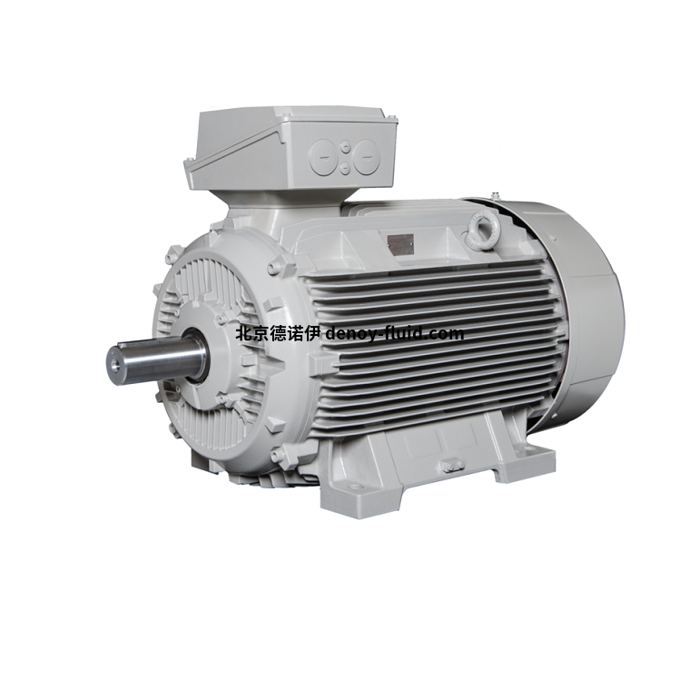 德國Lammers低壓電機(jī)1TZ9002-0BB2參數(shù)