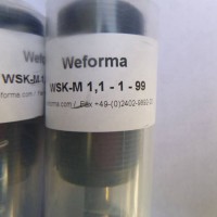 Weforma工業(yè)緩沖阻尼器WRD-H 4025C-VA