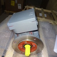 Hew三相制動(dòng)電機(jī)RDMF112M/12THzFr-PrB17H