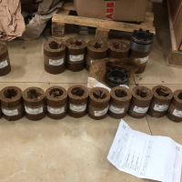 KTR聯(lián)軸器 250 - 35x47