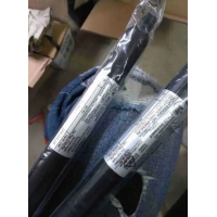 HAHN Gasfedern氣體拉伸彈簧Z 06-19 V2