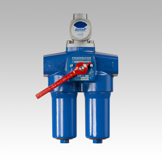 _DSC0334-DoppelfilterDeltaP-210609-555px-sRGB_555x555_8b8