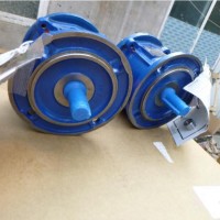 Rossi同軸行星減速電機(jī)R 4EL 006A 175Y H070M1系列