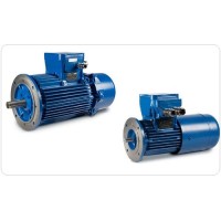 Cemp電機(jī)NEMA MOTORS