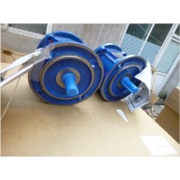 Rossi 蝸輪伺服齒輪減速器MR V 32型系列歐洲原廠進(jìn)口