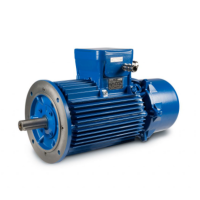 CEMP防爆電機(jī) E3AB系列 用于易燃、易爆環(huán)境下