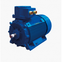 Marelli Motori C3G型異步電機(jī)