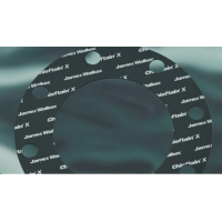 JAMES WALKER密封件墊片墊圈Fluolion 200型 聚四氟乙烯墊片