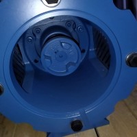 Pompetravaini液環(huán)真空泵TRH 32-20石化 、制藥 、食品領(lǐng)域