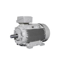 Lammers低壓電機(jī)1TZ9002-0BB6 電機(jī)尺寸63-400