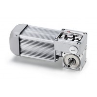 意大利Mini Motor蝸輪電機MC244PT -  40 B3