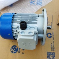 意大利MT Motori 電動機(jī)TN 80 B4 3TH的應(yīng)用特點(diǎn)