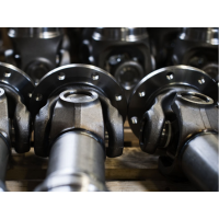 WiCHMANN100系列L型聯(lián)軸器用于軌道車輛 ，商用車 ，試驗臺