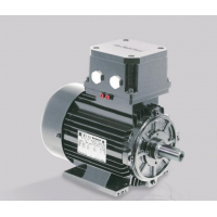 lammers防爆電機(jī)1TE10X1-0DA2型尺寸63 – 315