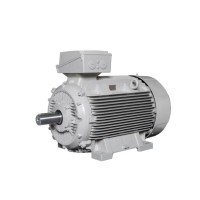 Lammers防爆電機(jī) 1TZ9002-0BA6效率等級(jí)：IE2、IE3