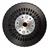 EMRAX軸向磁通電機(jī) 208型號外殼直徑：208毫米