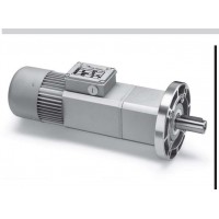 minimotor PAE行星齒輪箱單相/三相異步電動機同軸齒輪電機